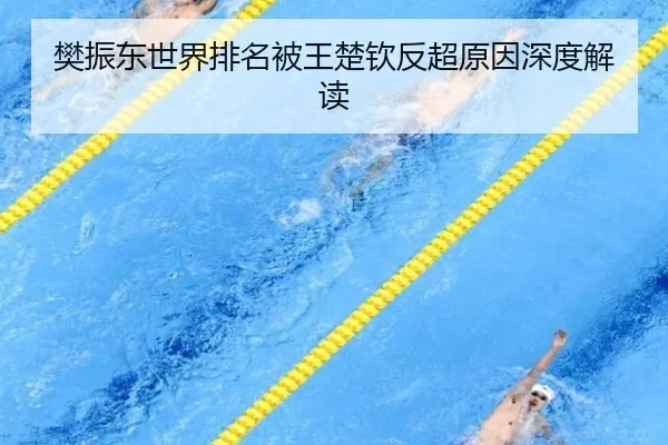 樊振东世界排名被王楚钦反超原因深度解读