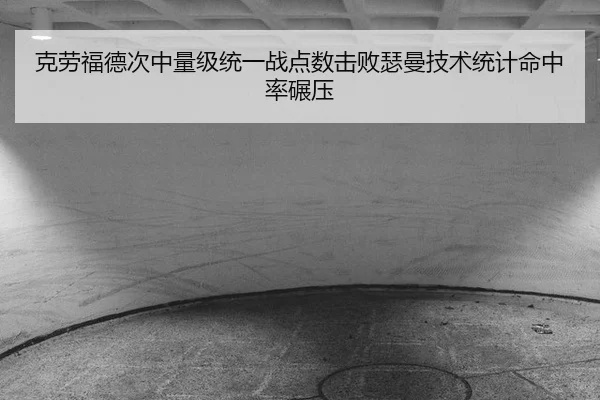 ke-lao-fu-de-ci-zhong-liang-ji-tong-yi-zhan-dian-shu-ji-bai-se-man-ji-shu-tong-ji-ming-zhong-lv-nian-ya-2-216.jpg