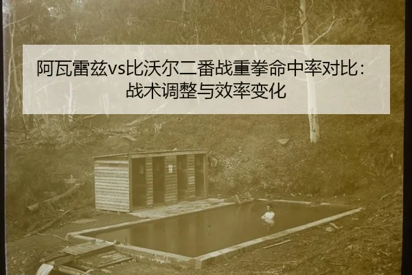 阿瓦雷兹vs比沃尔二番战重拳命中率对比：战术调整与效率变化